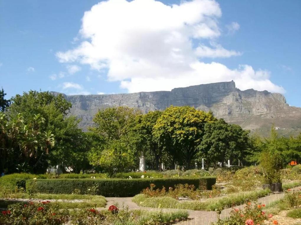 Taj Hotel Cape Town - Luxury 5 Star Suites - Very Spacious With Kitchenette, Lions Head Views Exteriér fotografie